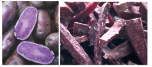 purplepotatoes